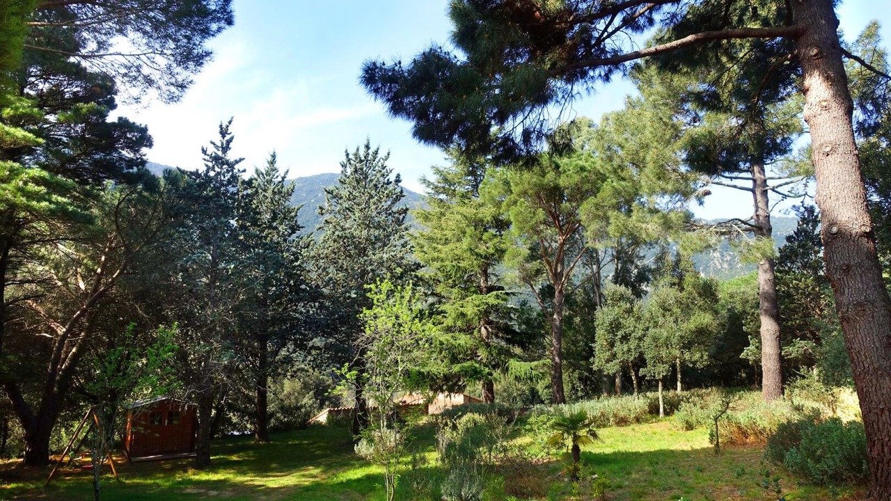 Photo of Outdoor in Sorede