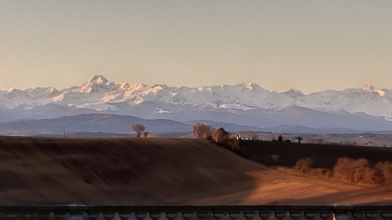 Photo of Others in Esperce