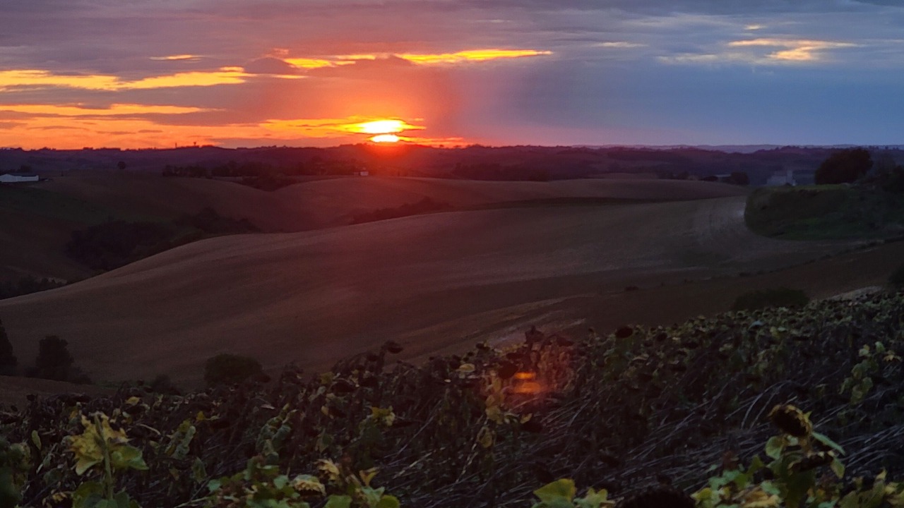 Photo of Others in Esperce