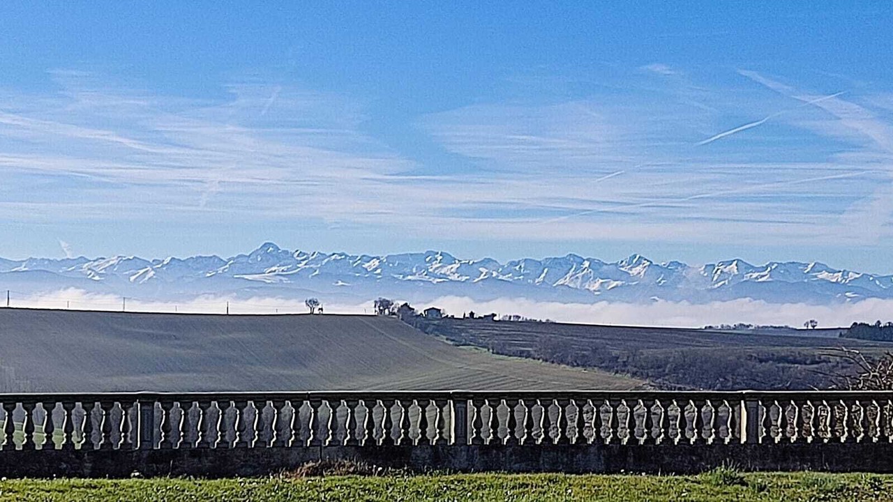 Photo of Others in Esperce