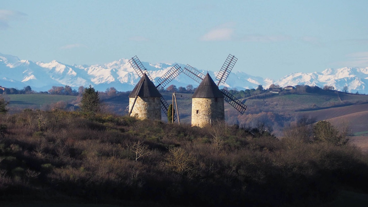 Photo of Others in Esperce