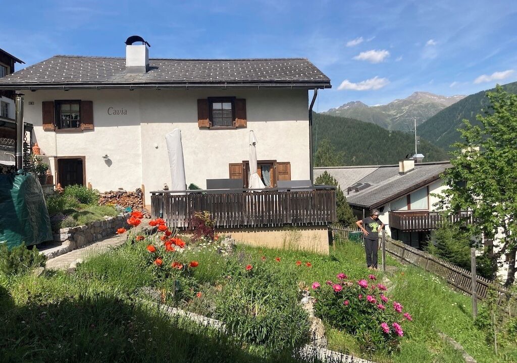 Photo of Outdoor in Wiesen