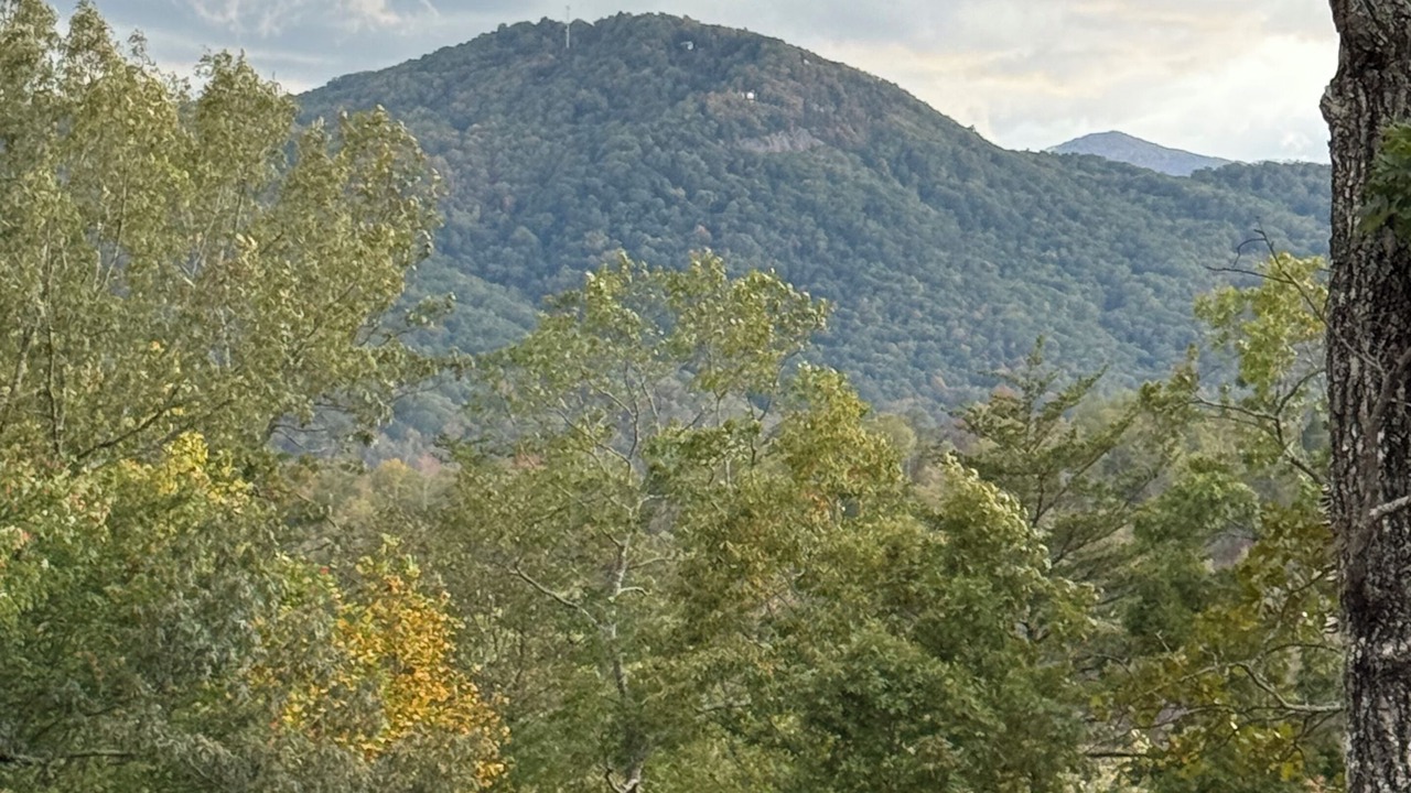 Photo of Others in Lake Lure