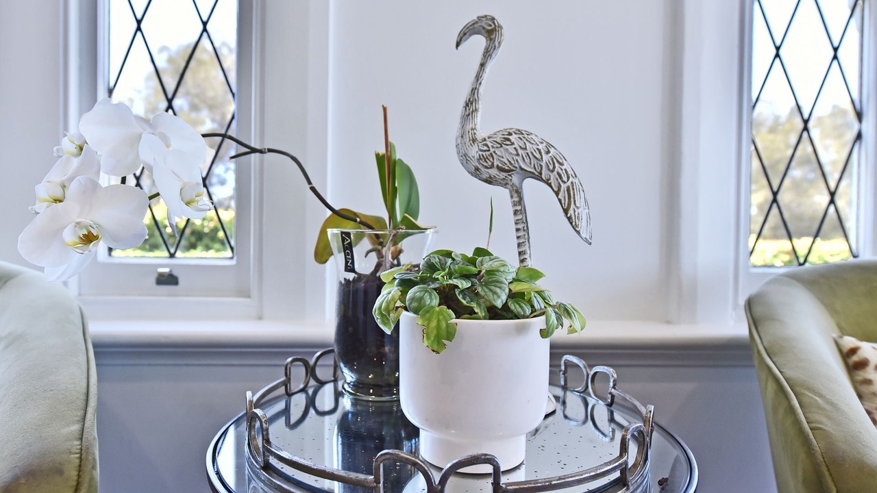 Photo of Others in Merewether