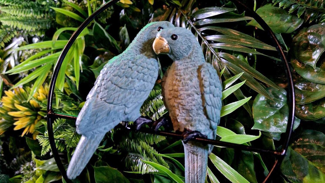 Photo of Others in Thiers