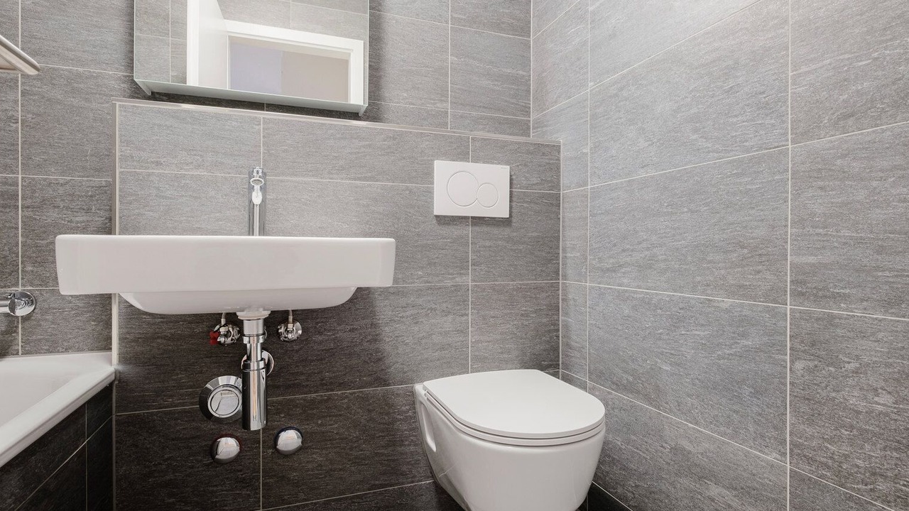 Photo of Bathroom in Dietikon District