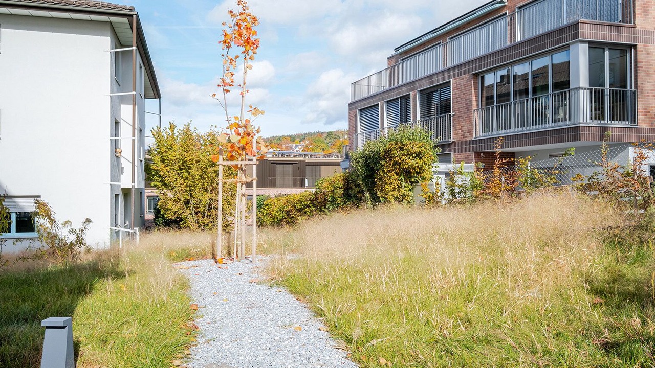 Photo of Outdoor in District 8