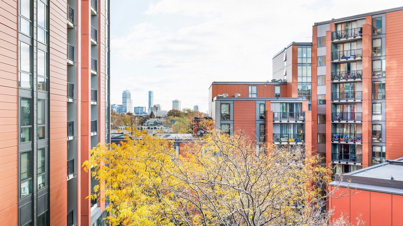 Photo of Outdoor in Cambridgeport