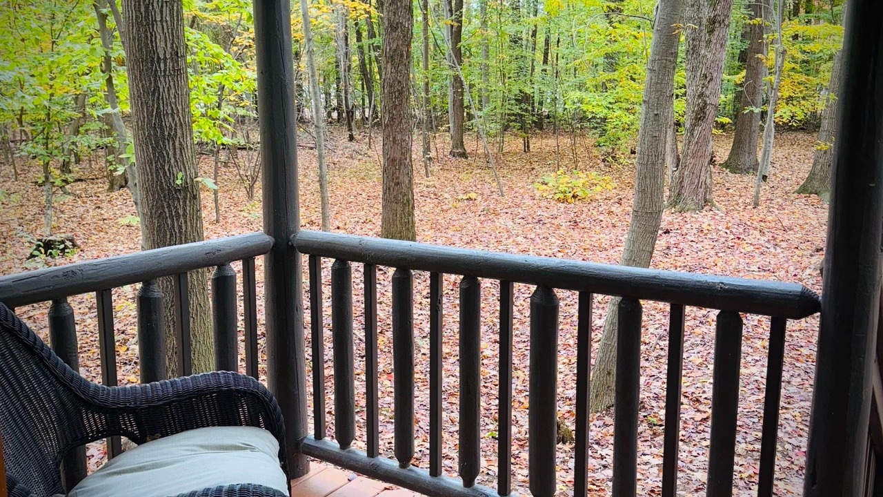 Photo of Others in Birch Run Township