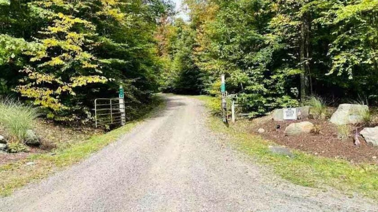 Photo of Others in Sidney