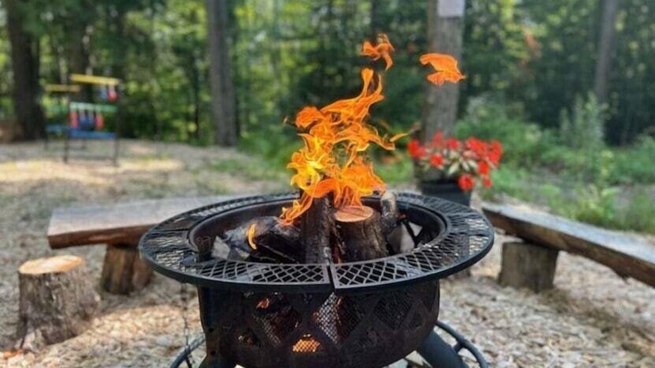 Photo of Others in Sidney