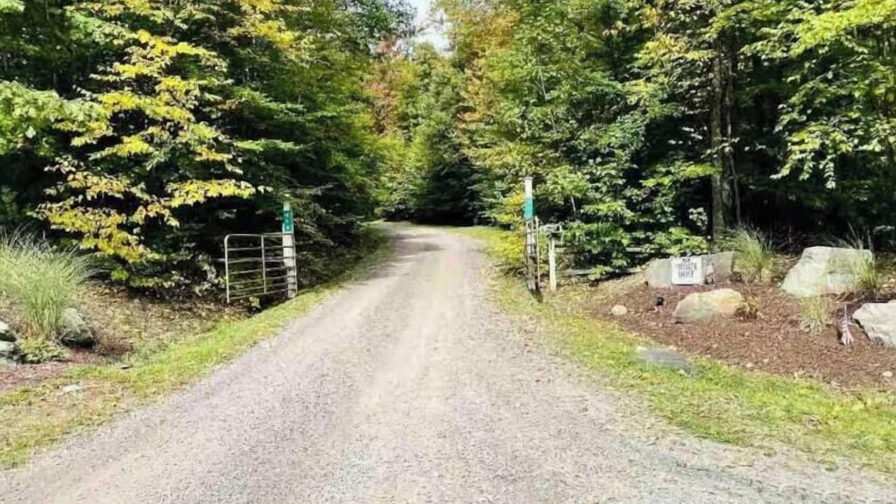 Photo of Others in Sidney