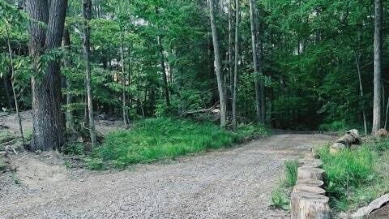 Photo of Others in Sidney