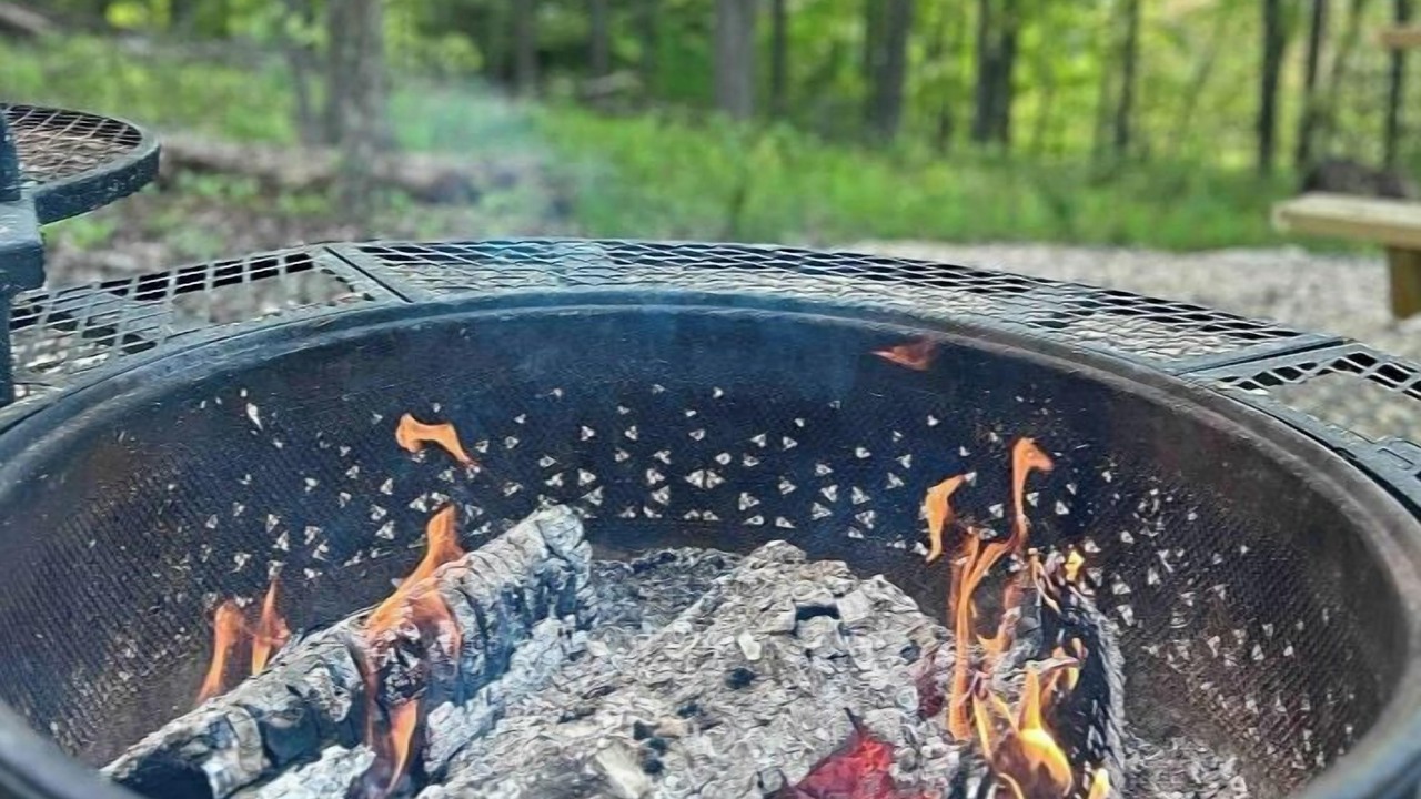 Photo of Others in Sidney