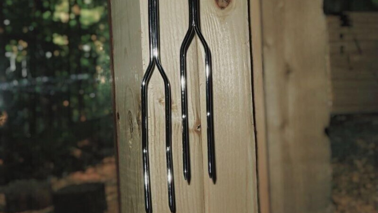 Photo of Others in Sidney