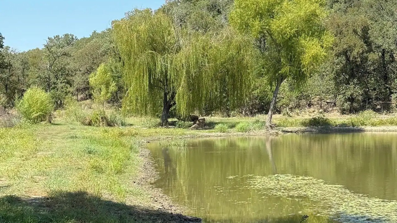Photo of Others in Chico