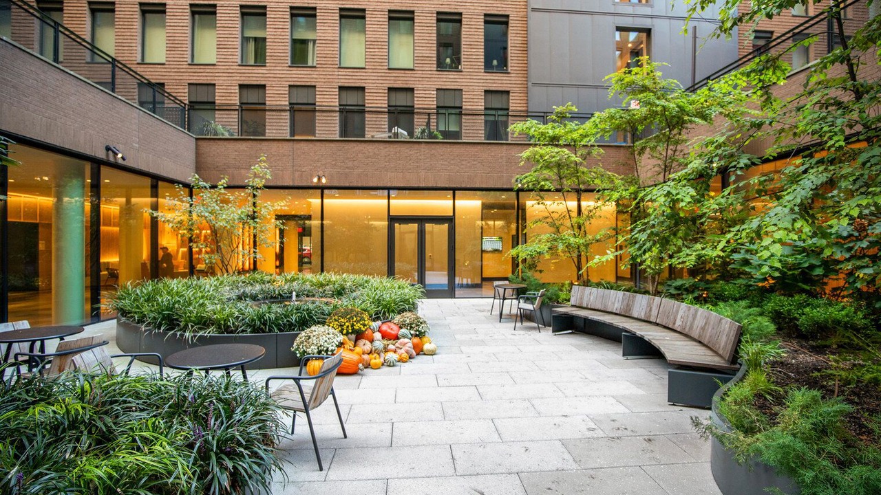 Photo of Outdoor in Chelsea