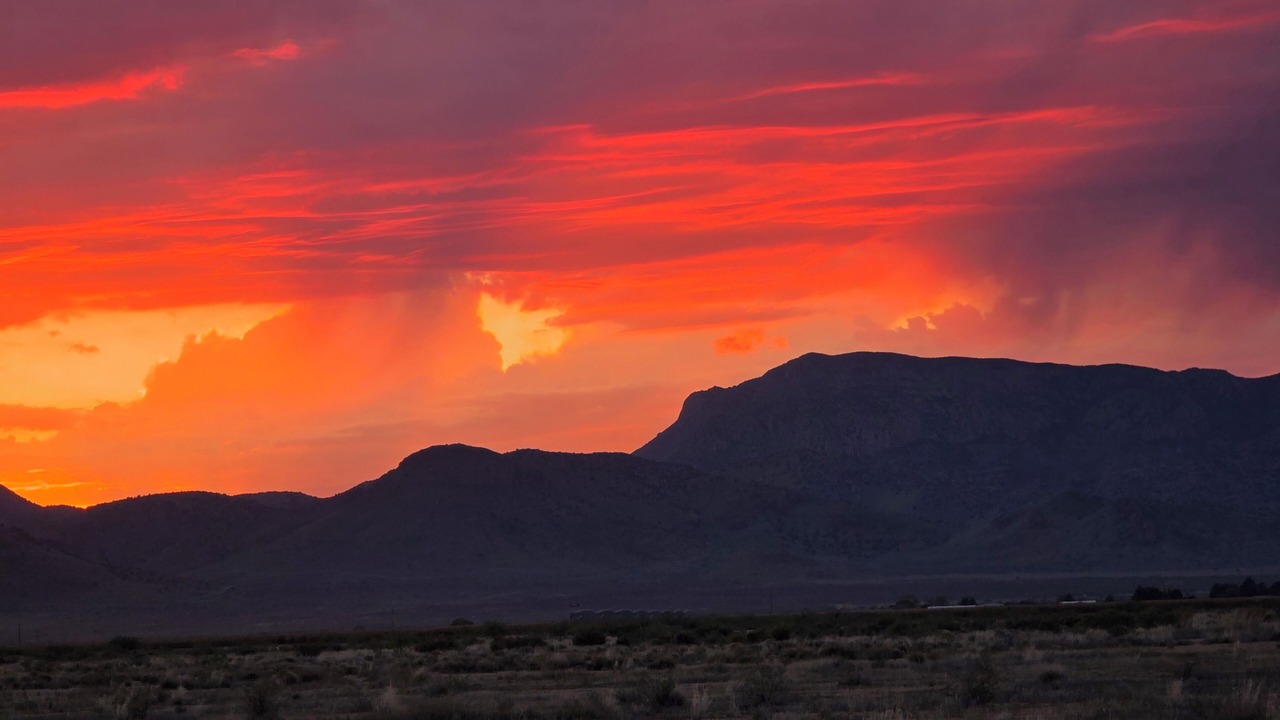 Photo of Others in Willcox
