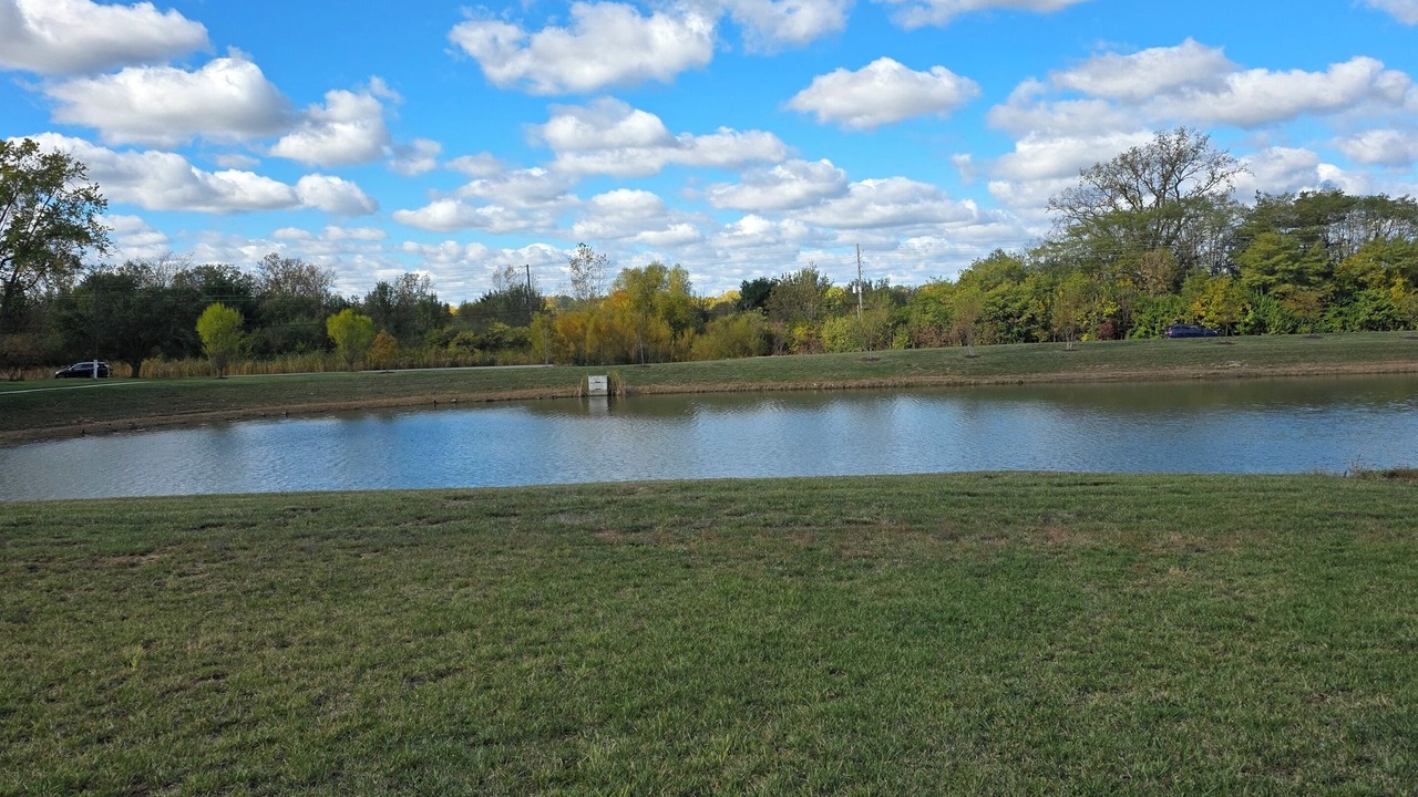 Photo of Others in Acton