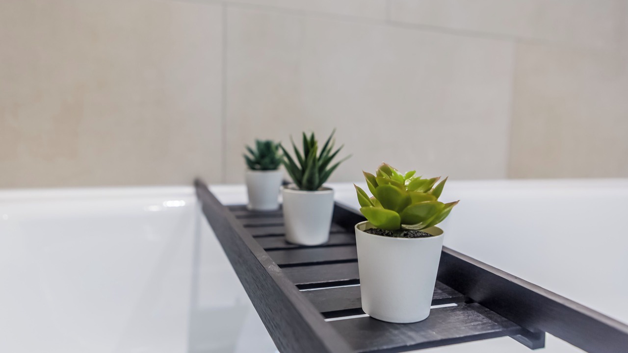 Photo of Others in Washington