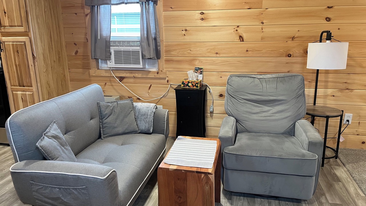 Photo of Livingroom in Lawrenceville