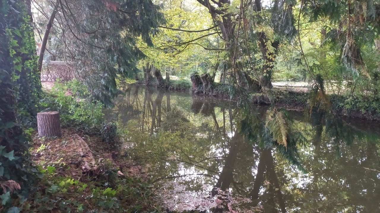 Photo of Others in Preuilly-sur-Claise