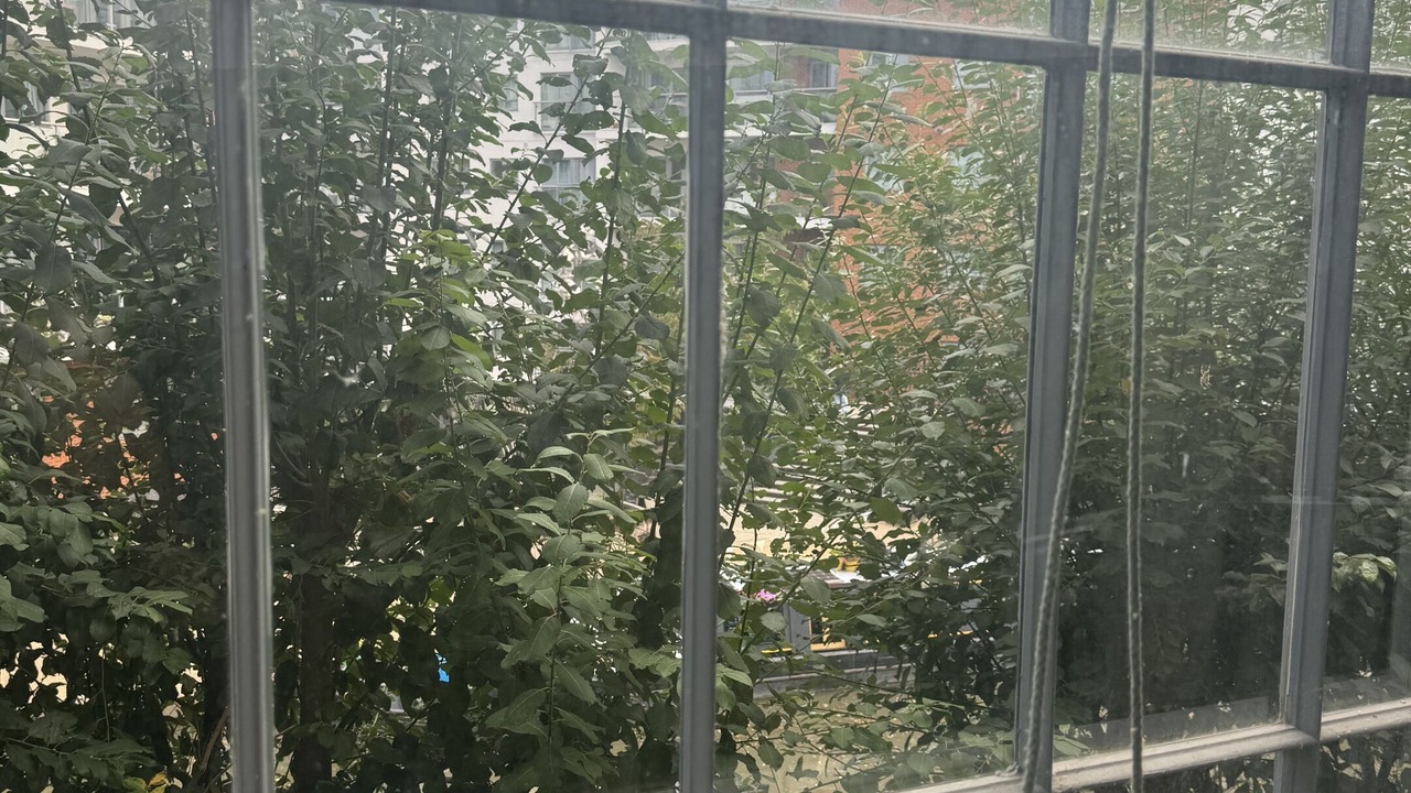 Photo of Others in Wolverton