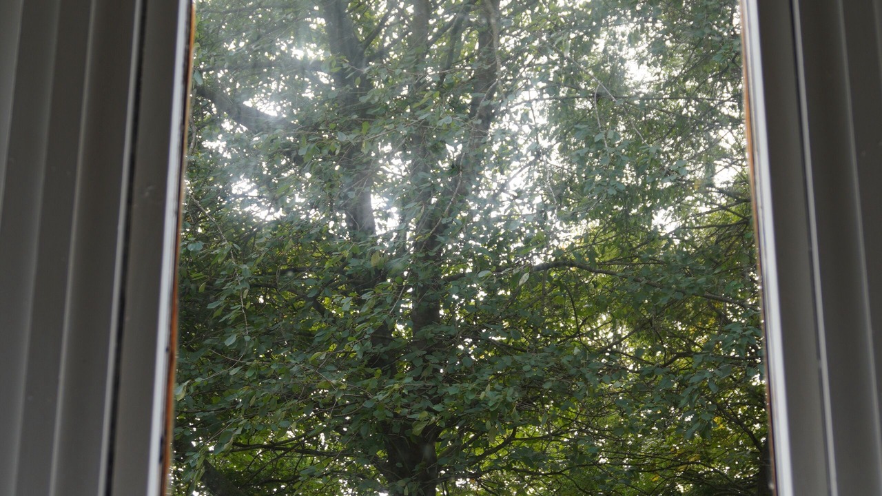 Photo of Others in Glasgow