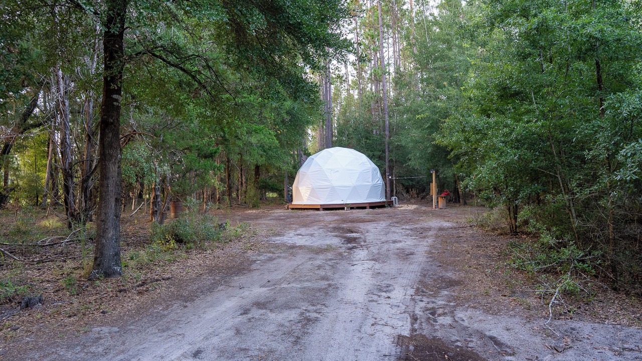 Photo of Others in High Springs