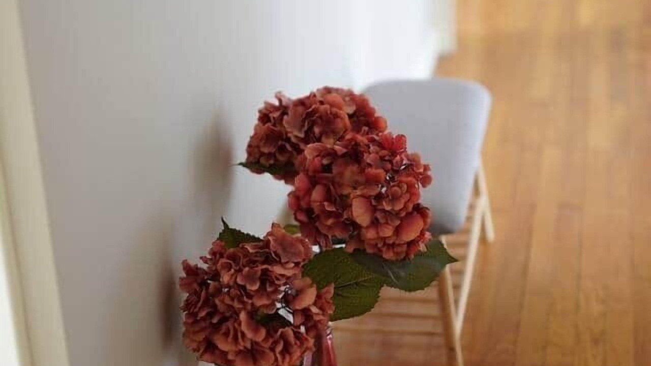 Photo of Others in Moliere Vauban