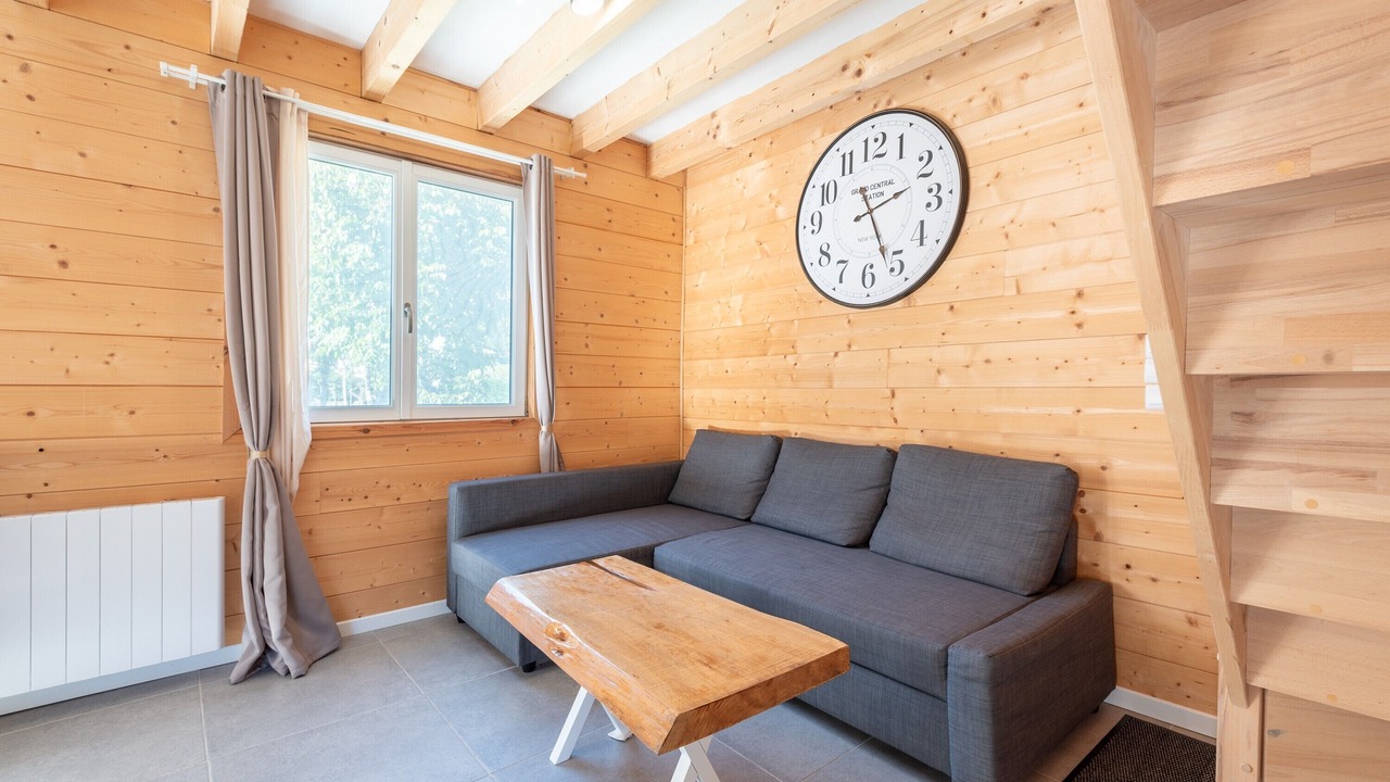 Photo of Livingroom in Laruns