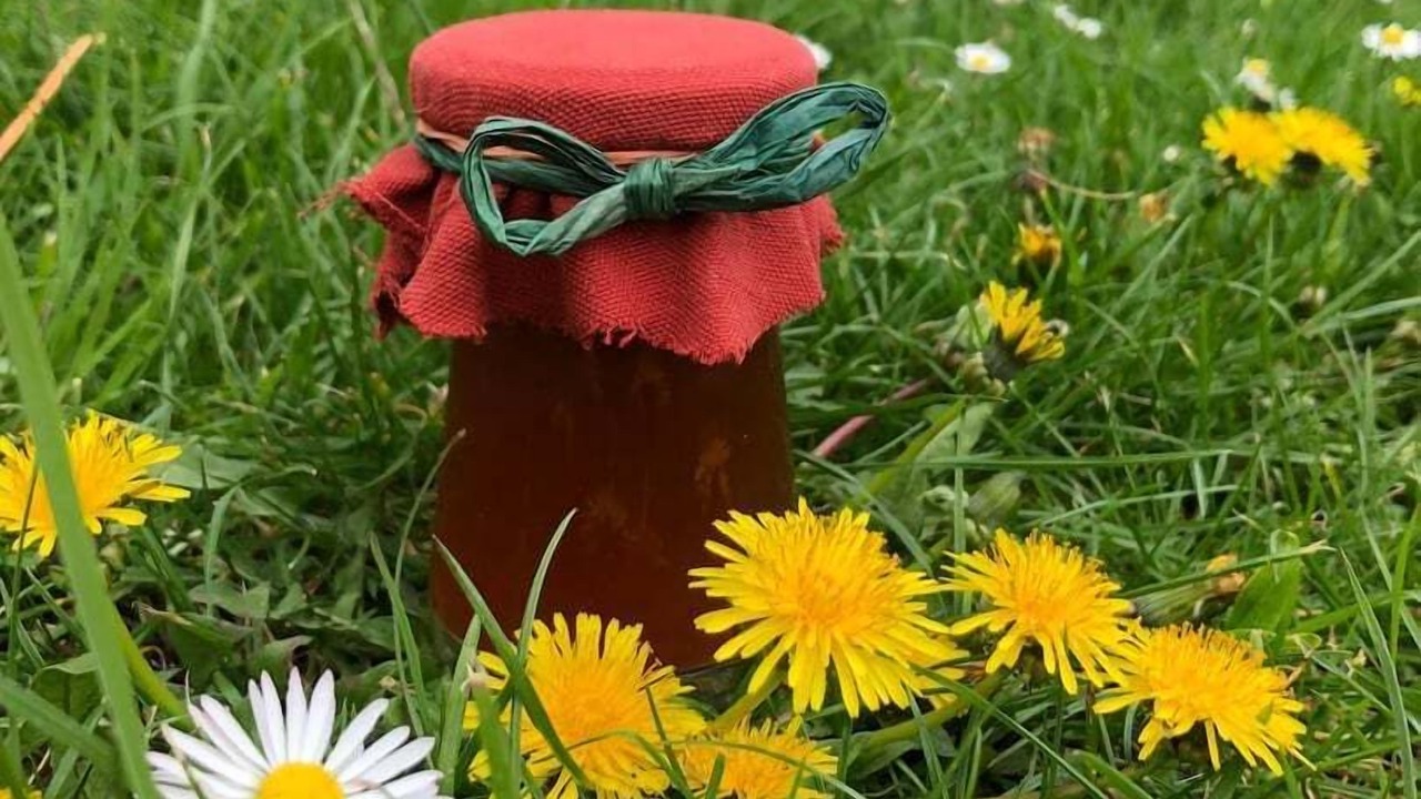 Photo of Others in Saint-Jean-les-Deux-Jumeaux