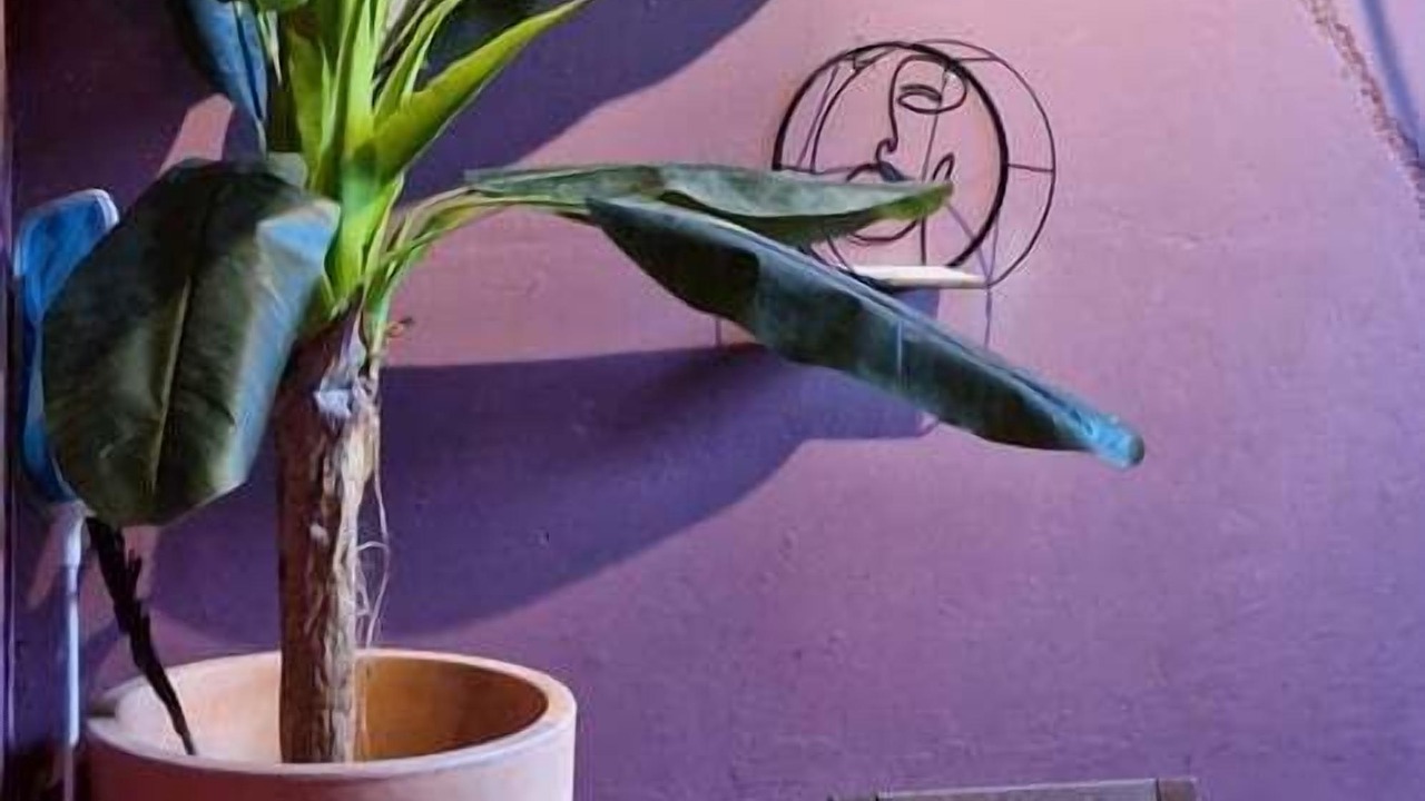 Photo of Others in Saint-Jean-les-Deux-Jumeaux