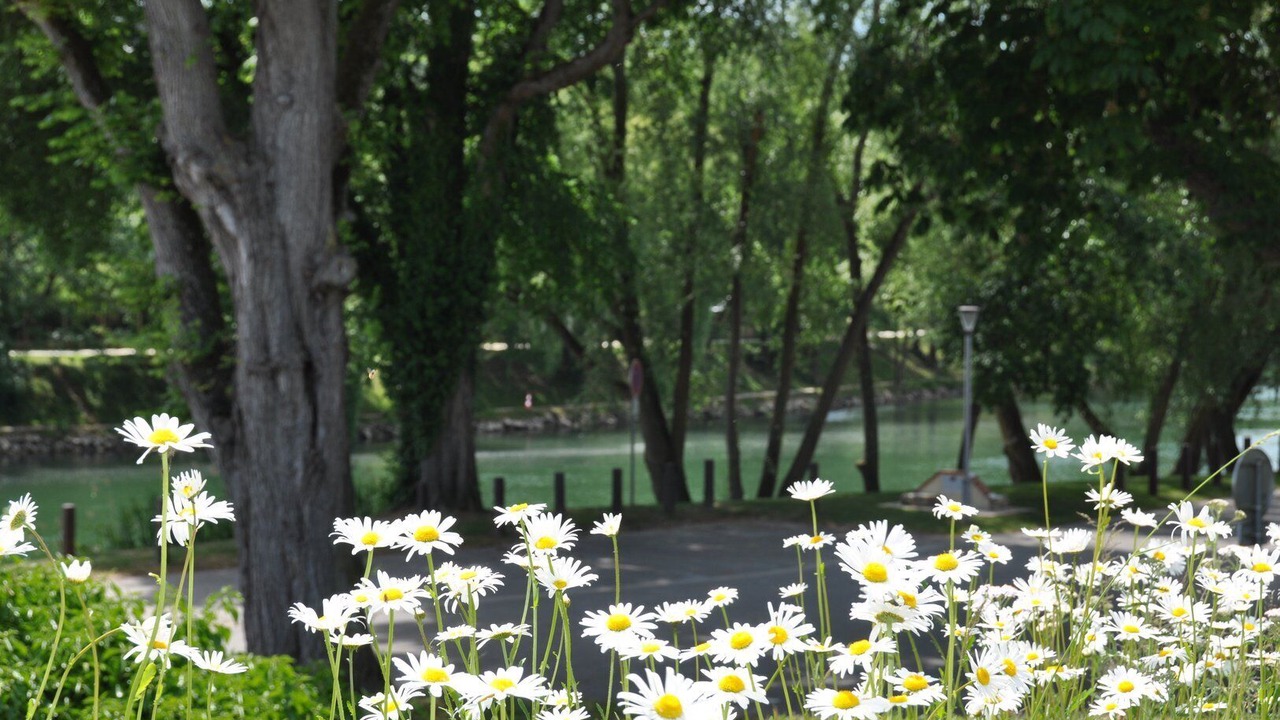 Photo of Outdoor in La Ferte-sous-Jouarre