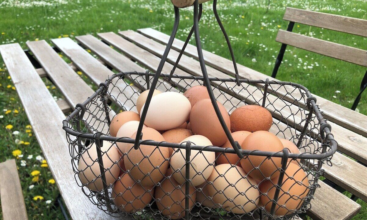 Photo of Outdoor in Saint-Jean-les-Deux-Jumeaux