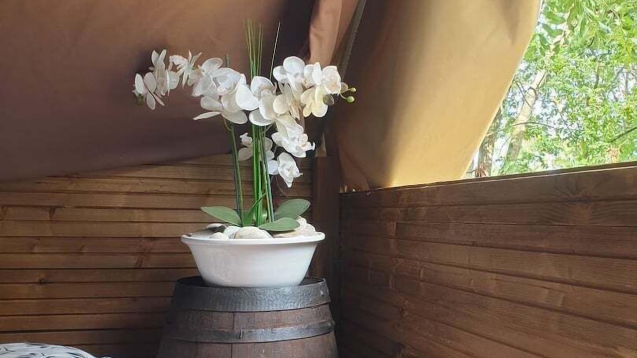 Photo of Bedroom in Saint-Jean-les-Deux-Jumeaux