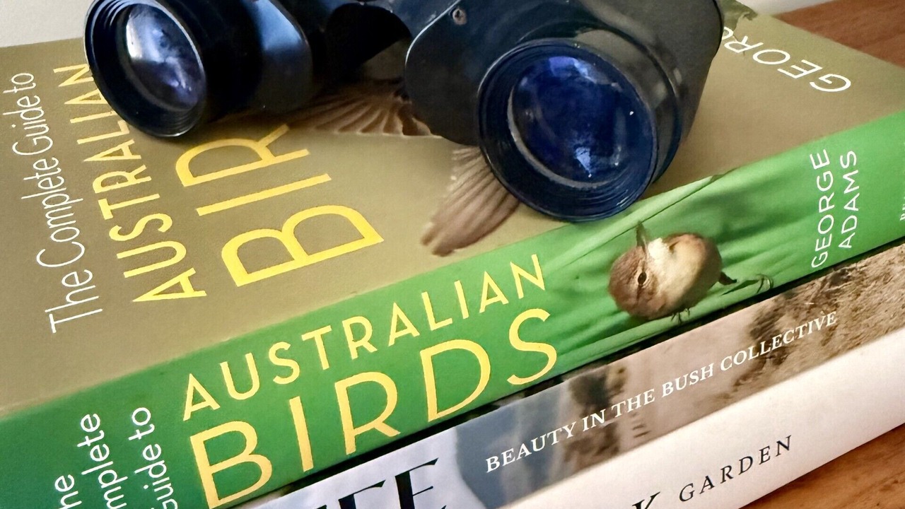 Photo of Others in Brierfield