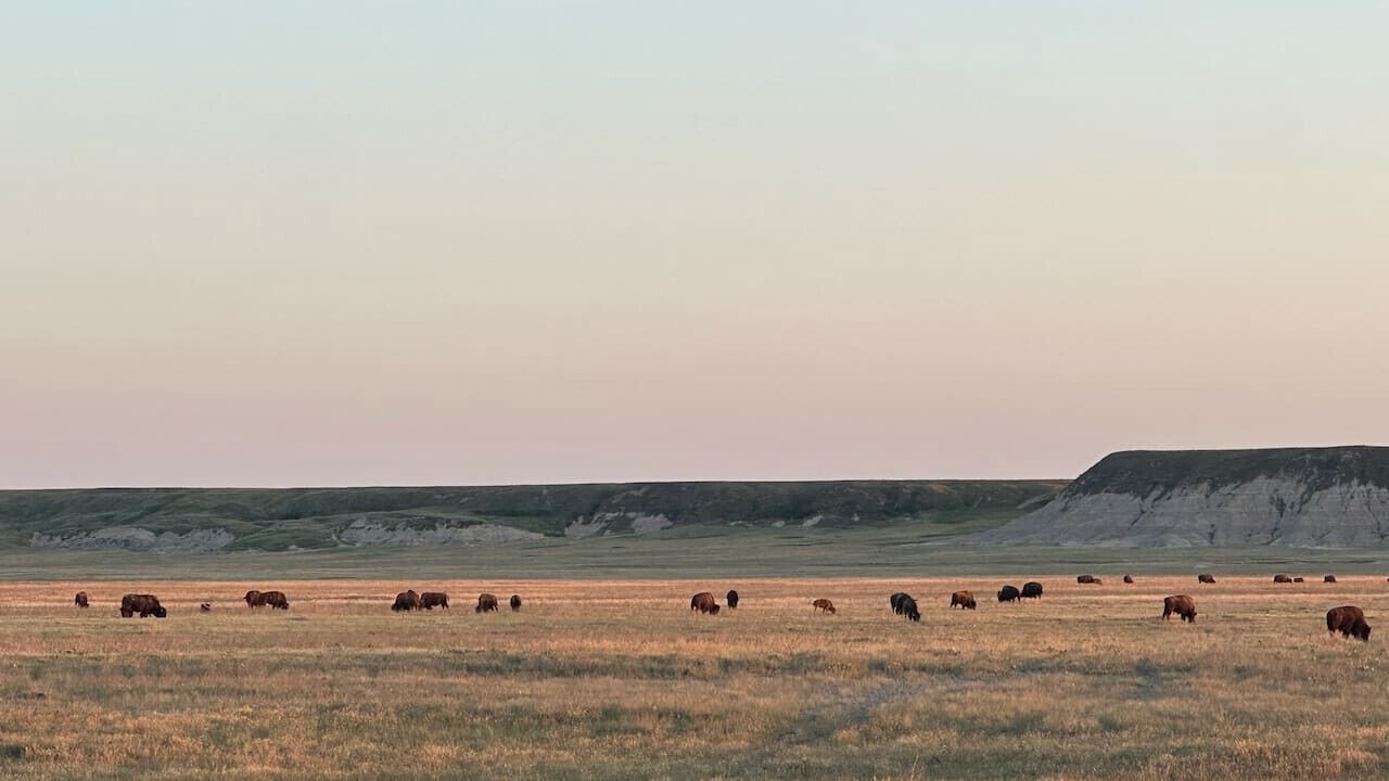 Photo of Others in Northeast Entrance Badlands