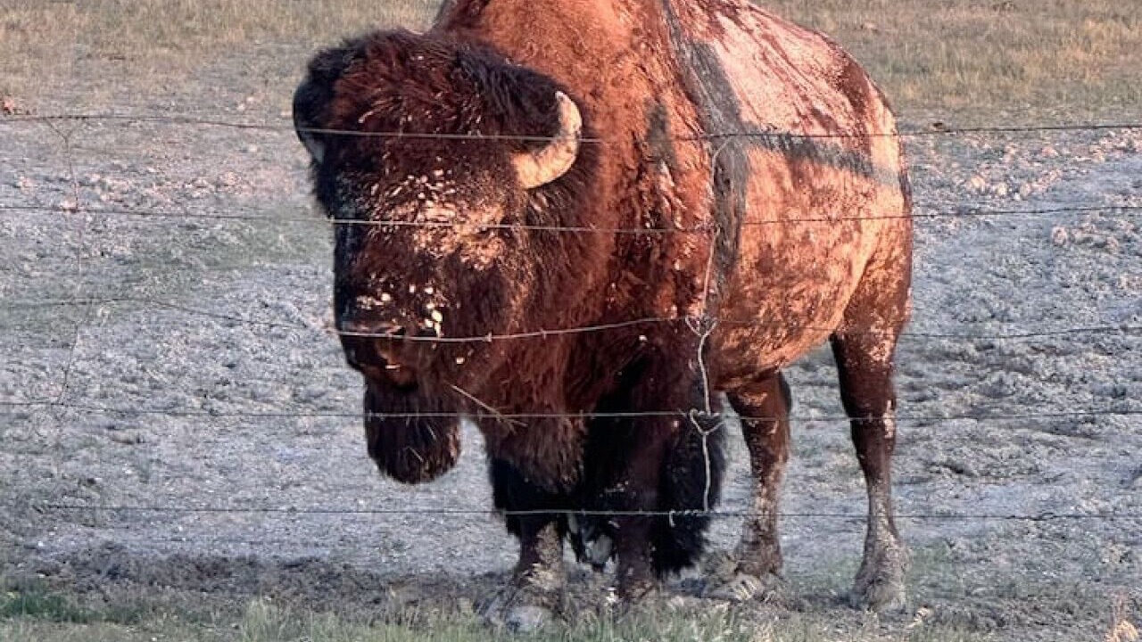 Photo of Others in Northeast Entrance Badlands