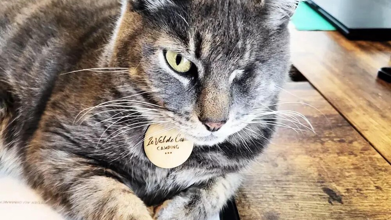 Photo of Others in Mirepeisset