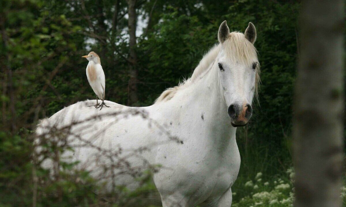 Photo of Others in Canehan