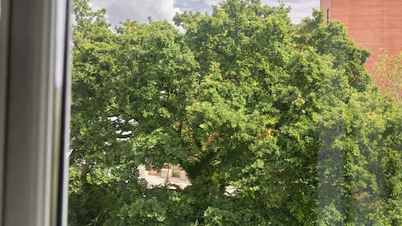 Photo of Others in Iverley