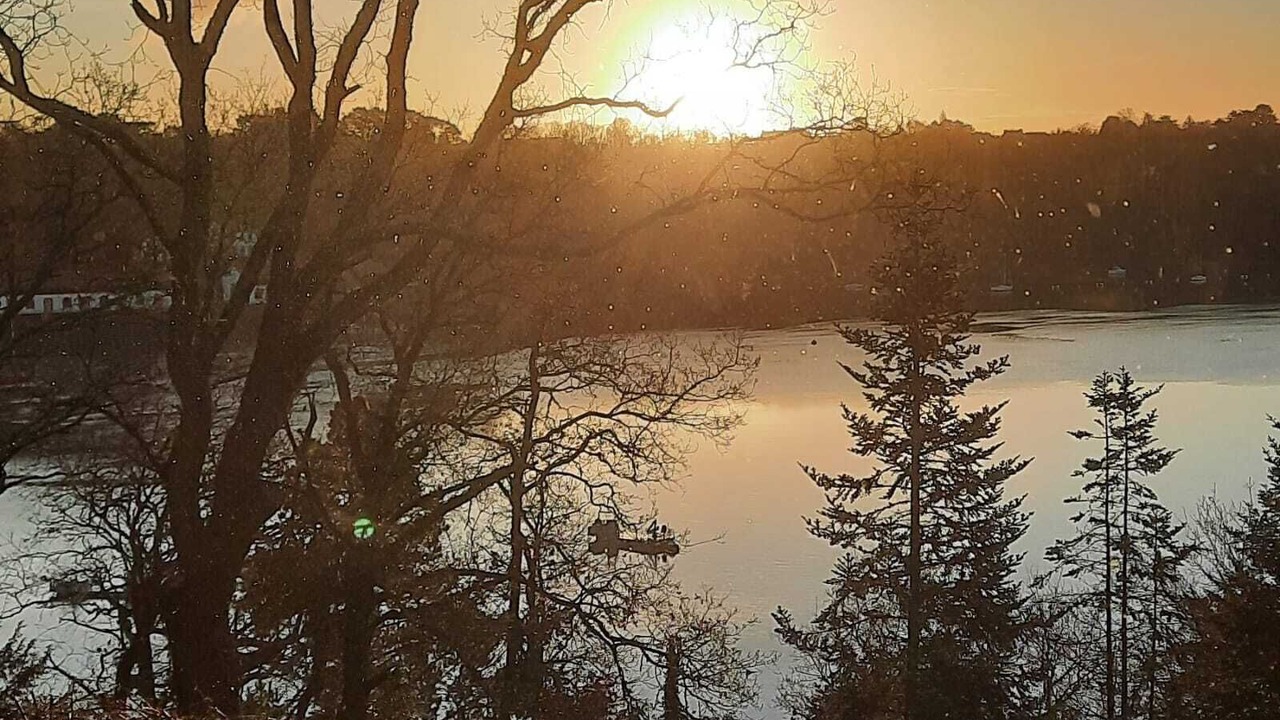 Photo of Others in Lezardrieux