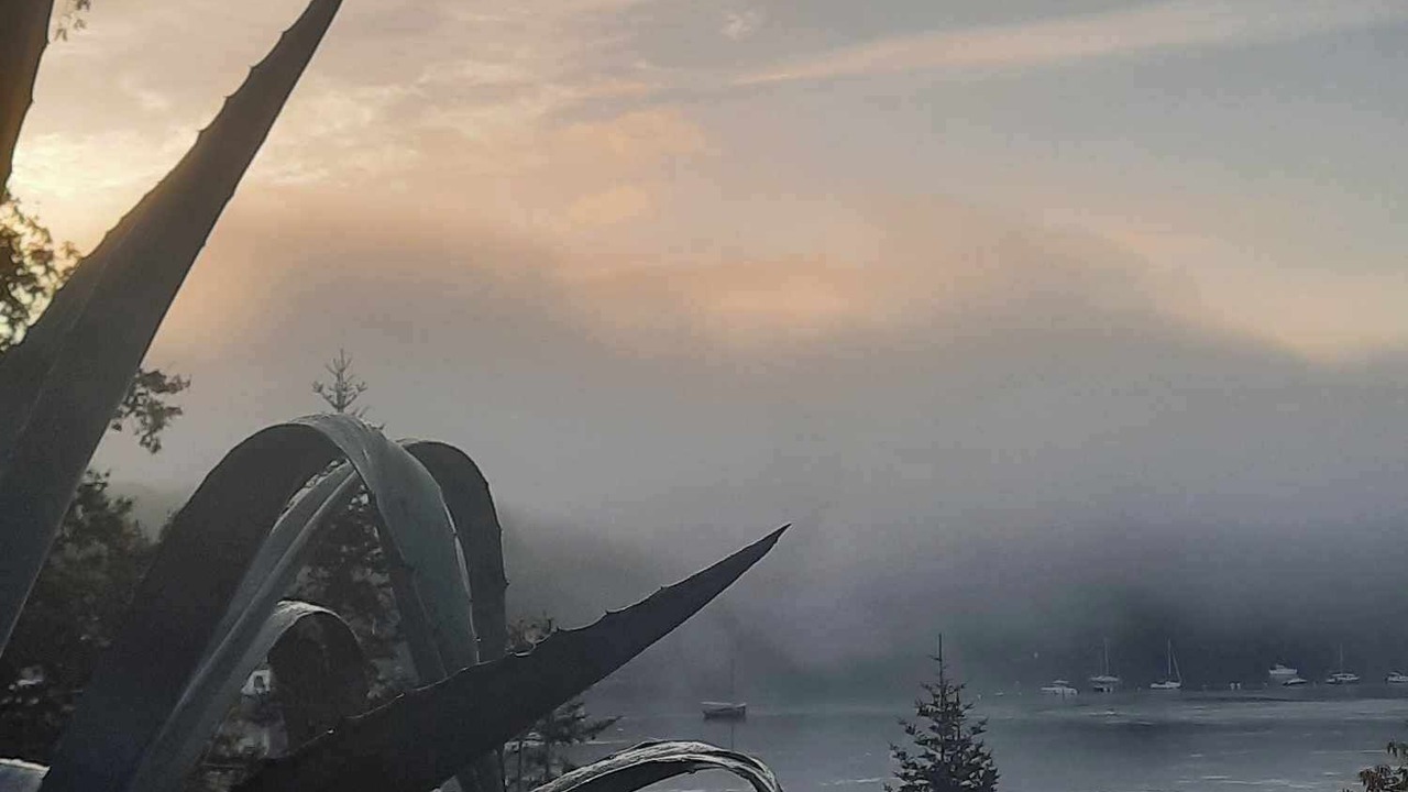 Photo of Others in Lezardrieux