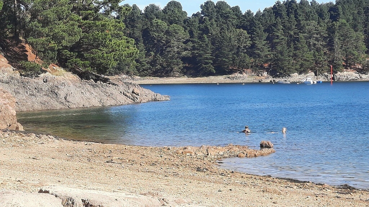 Photo of Others in Lezardrieux