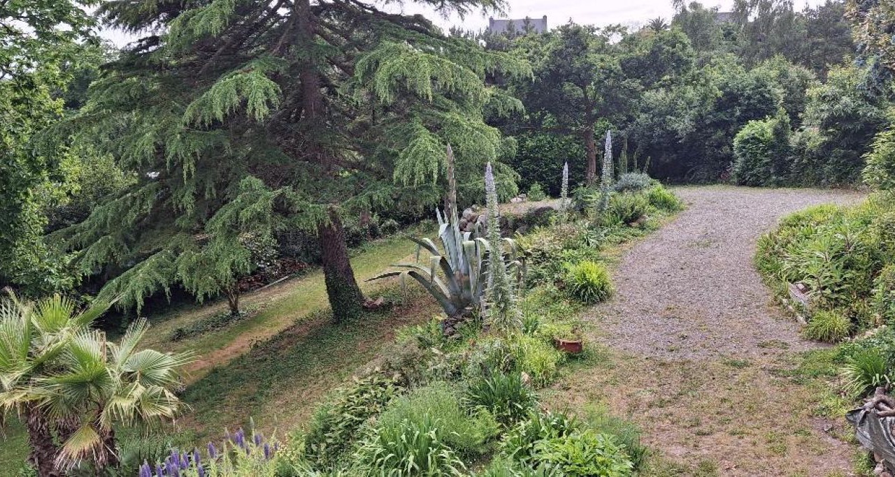 Photo of Outdoor in Lezardrieux