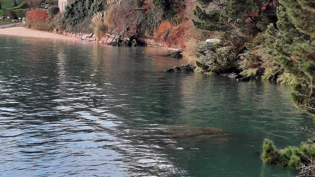 Photo of Others in Lezardrieux