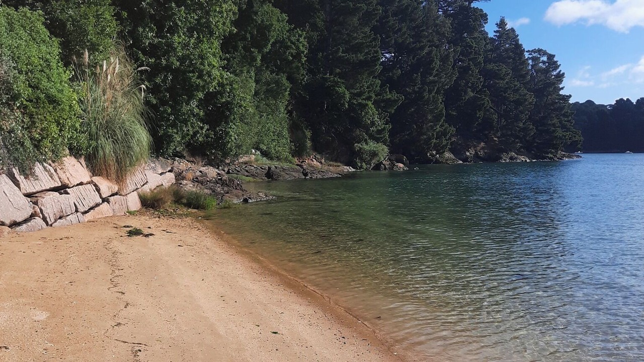 Photo of Others in Lezardrieux