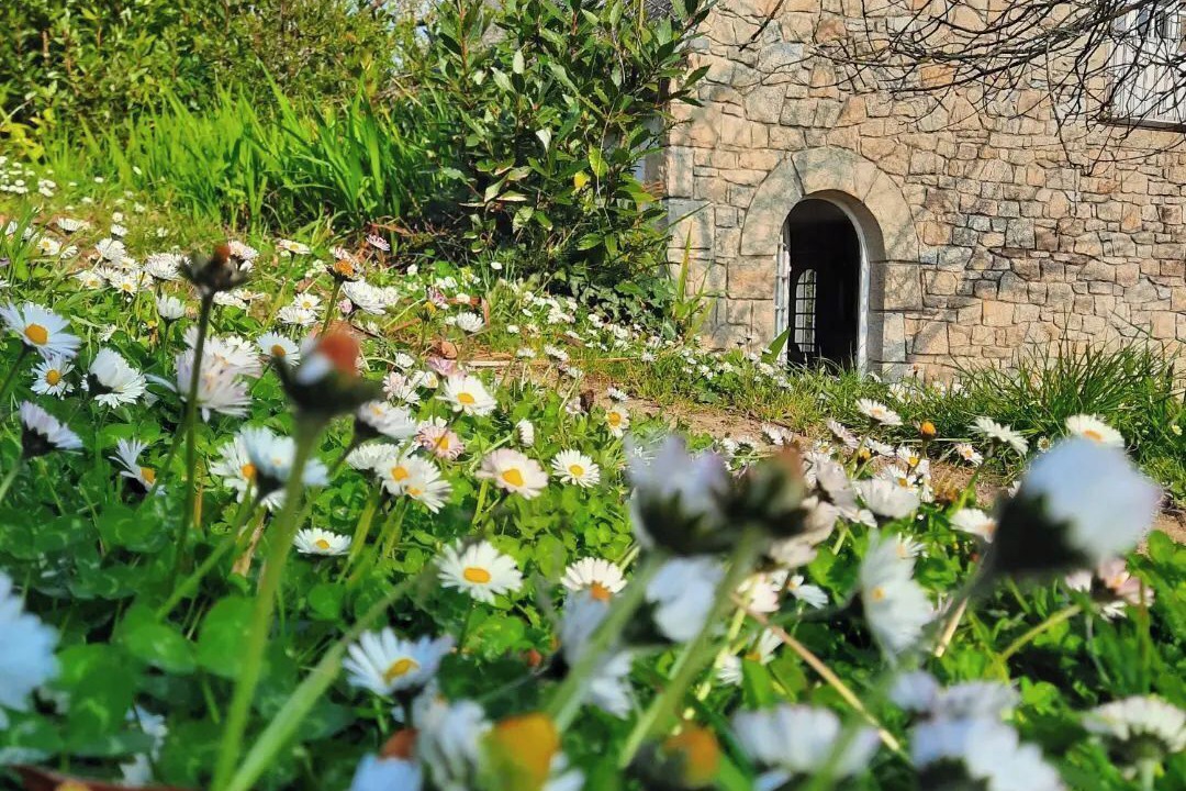 Photo of Outdoor in Lezardrieux