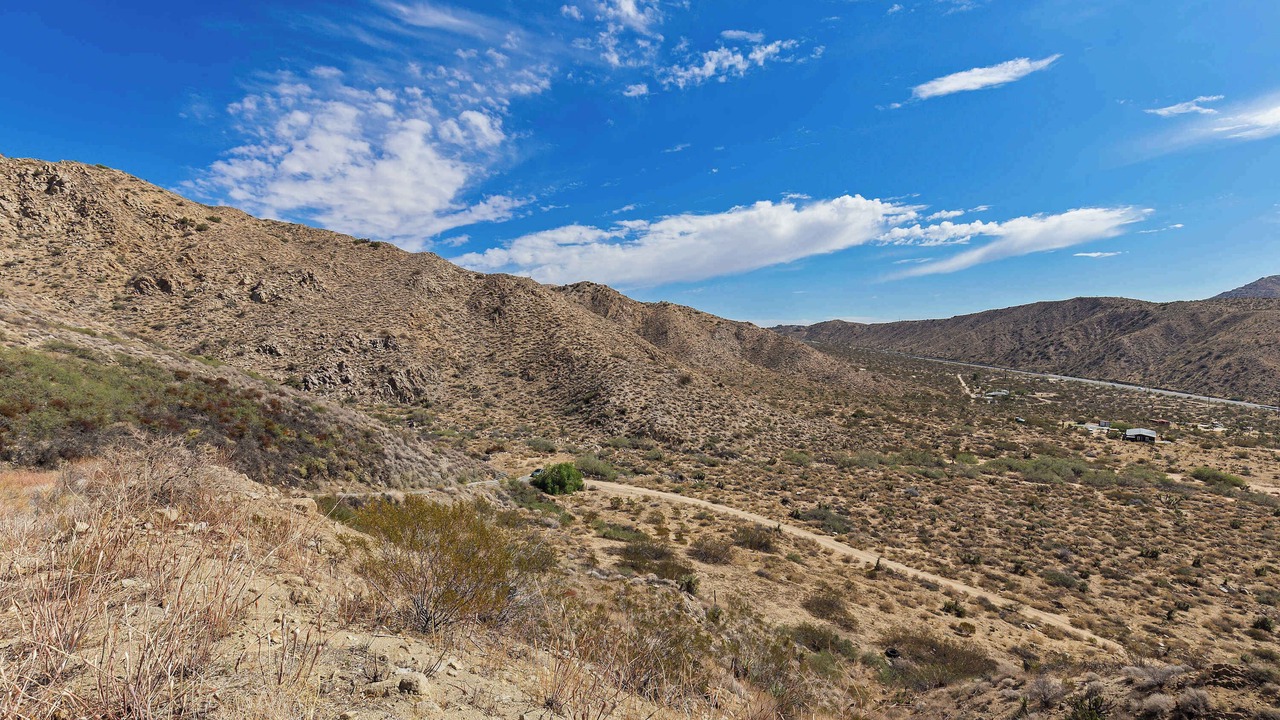 Photo of Others in Morongo Valley